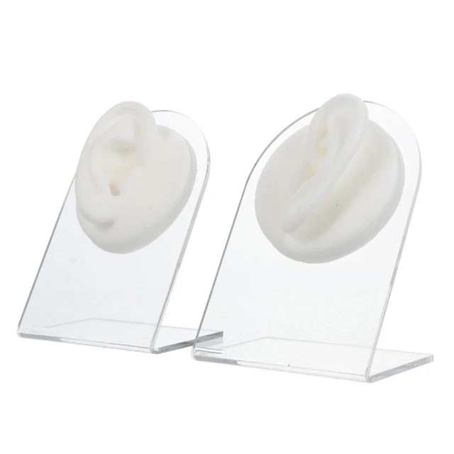 Modelli Per Piercing Orecchini Modelli Auricolari Simulati Corpo Utile Esterno