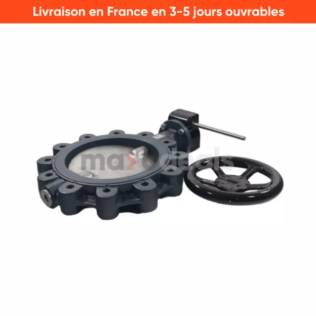 Ebro Z014-A-DN250 Butterfly Valve New NMP