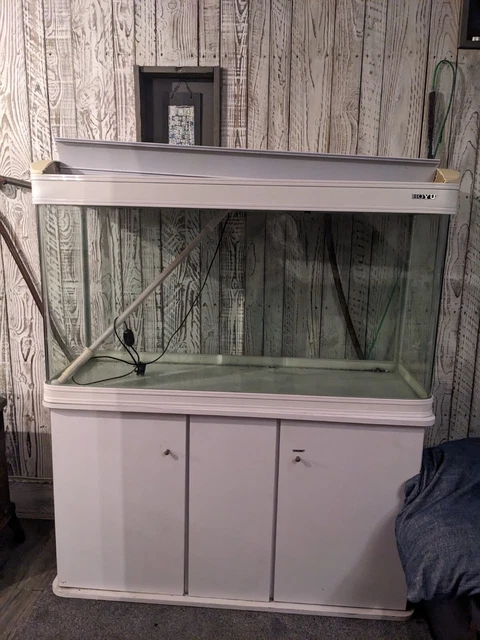 Fish Tank 300L Comes With The Food