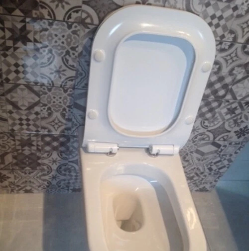 ROCA THE GAP WallHung WC Pan with ROCA Soft Closing Toilet Seat Slim