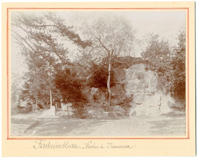 France, Fontainebleau, la route de Nemorosa  vintage silver print Tirage a