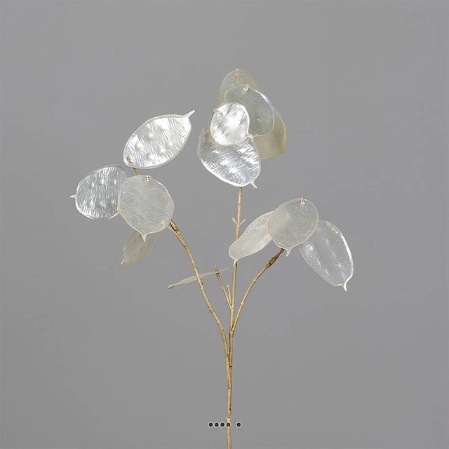 Branche de la monnaie-du-pape artificielle H 70 cm