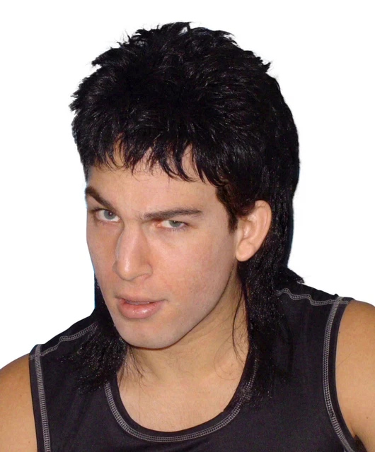 MULLET WIG BLACK Hair 70 s 80 s Bogan Men s Fancy Dress Costume Wig 44.95 PicClick AU