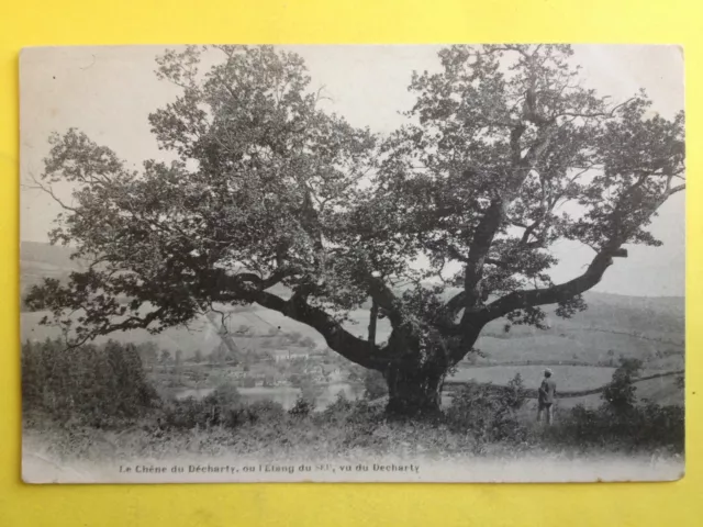 cpa FRANCE 58 - Nièvre Le OAK du DECHARTY Etang du SEU ARBRE TREE TREE