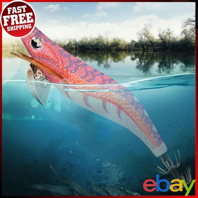Simulazione calamaro duro esca falsa ganci calamaro artificiale doppio amo jig pesce | Leroy Merlin