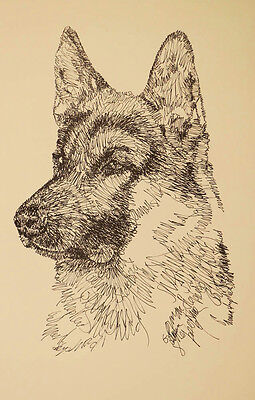 GERMAN SHEPHERD DOG ART PORTRAIT PRINT 249 Kline adds dogs name free -  GIFT gsd