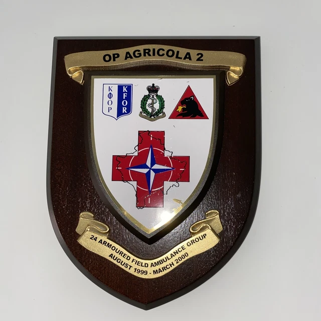 Genuine Obsolete Ghana Military Issue Coat Of Arms Insignia Metal Badge – Collectible, Unused, Made In UK (GIM10)
