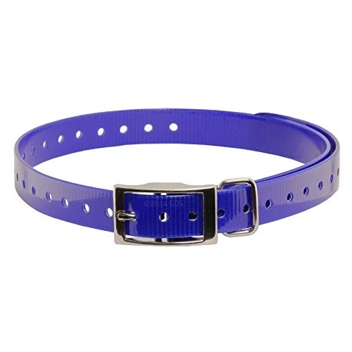 SportDOG  compatible Collar Strap Blue 28" x 0.75"