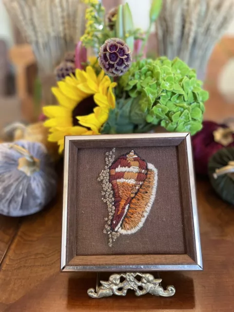Mini Enmarcado Nautilus Cáscara Crewel Bordado Aguja De Colección Completado MCM