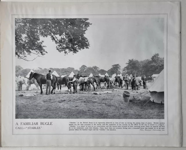 1915 Ww1 Print & Text British Cavalry Horses Cavalrymen Bugle Call Stables