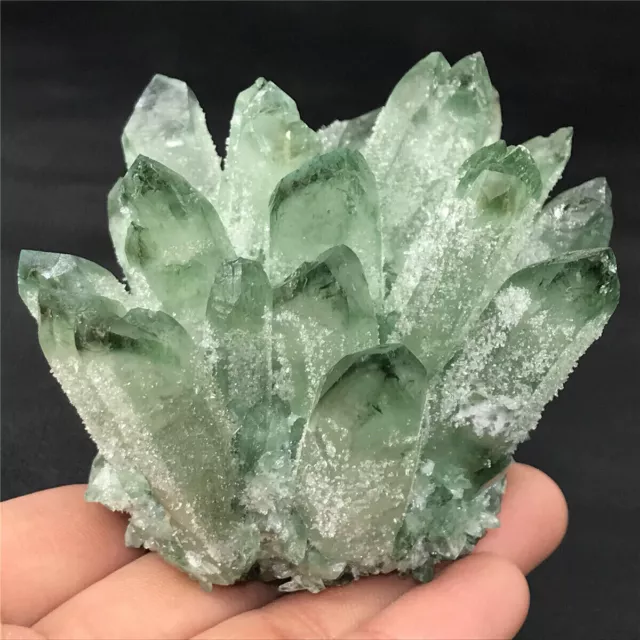 270g New Find Green Phantom Quartz Crystal Cluster Mineral Specimen Reiki Decor