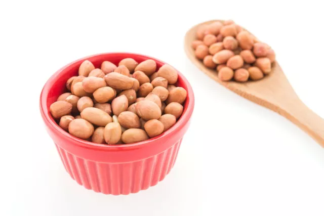 AIVA Raw Spanish Peanuts - 5 lb. Box