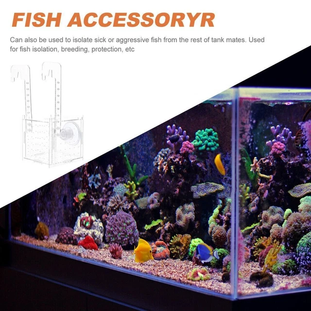 Transparent Fish Tank Isolation Breeding Box Processing Hatching Box  Fish Tank