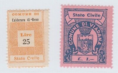 Italy local Revenue fiscal Cinderella stamp 3-23-22-a19