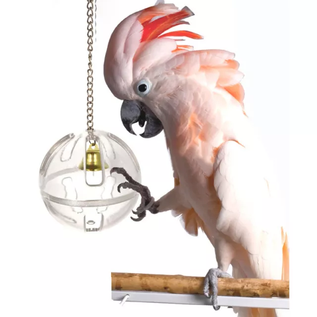 Parrots Ball Feeder Hanging Cage Feeding Birds Bell Foraging Chain For TreaY#7H