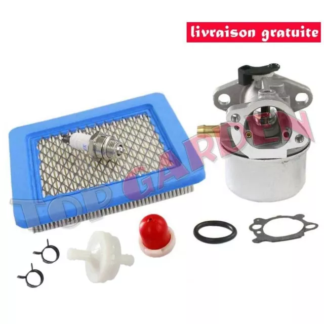 Carburateur et Filtre à Air pour Briggs & Stratton 799868 694202 693909 692648