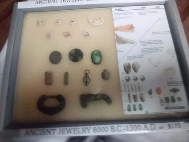 16 Ancient Shell, Sumerian, Phoenician, Roman & Islamic Beads 8000 BC-1300 AD