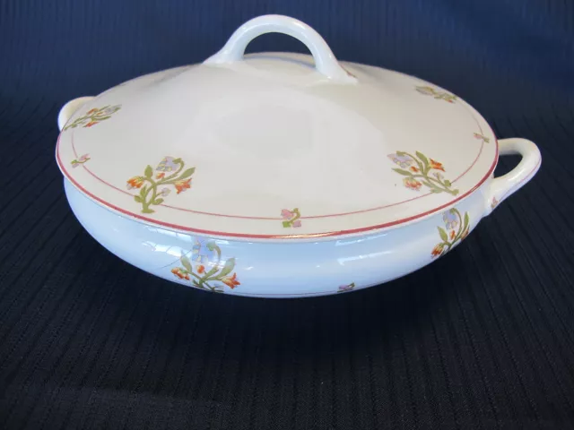 St Albans O P Co Syracuse China Covered Serving No RR back stamp Pattern MPRR