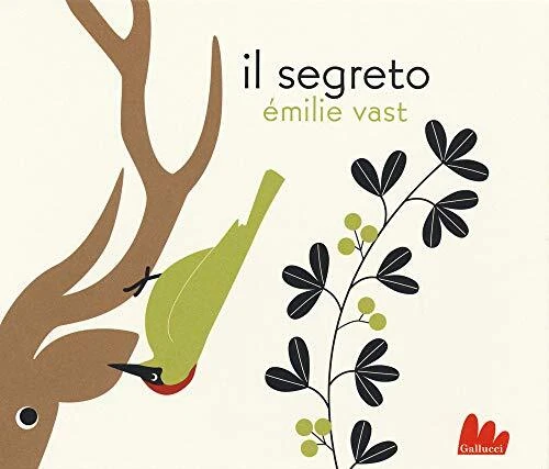 segreto ediz illustrata Vast Emilie 9788893488341