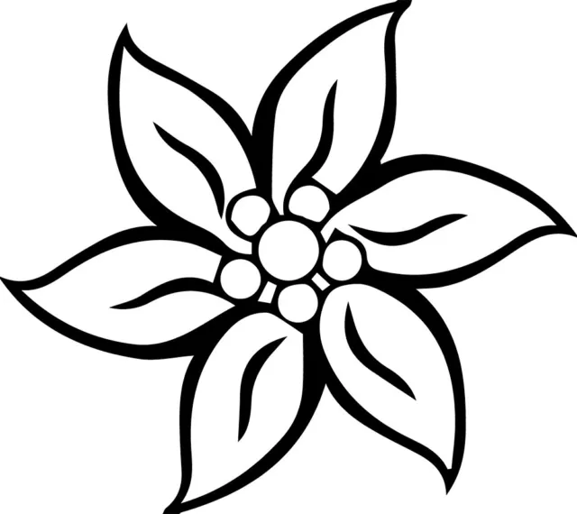 Sticker Fleur Ornement 15x9cm à 48x30cm, Tailles et Coloris Divers