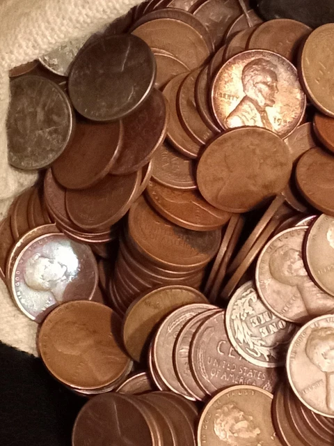 Lincoln wheat cent lot 24+ LBS pennies from old house Wheat Penny Vintage coins 4