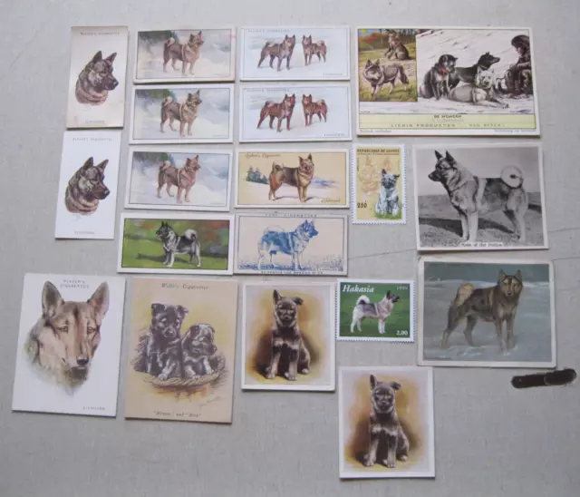 Norwegian Elkhound Vintage Old Cigarette Cards (17) and Two Stamps