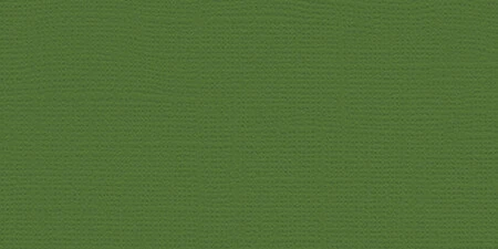 25er-Pack My Colors Canvas 80 Pfund Abdeckung Gewicht Karton 12""x12""-Wüstenkaktus - CV12