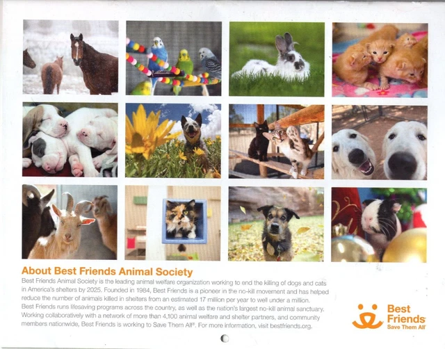 2024 “BEST FRIENDS Save Them All” Animal Wall Calendar 15.83 PicClick