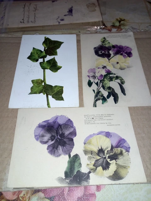 Cod. 378 N. 4 Cartoline Liberty Fiori 2 Con Poesie-Leopardi Giusti