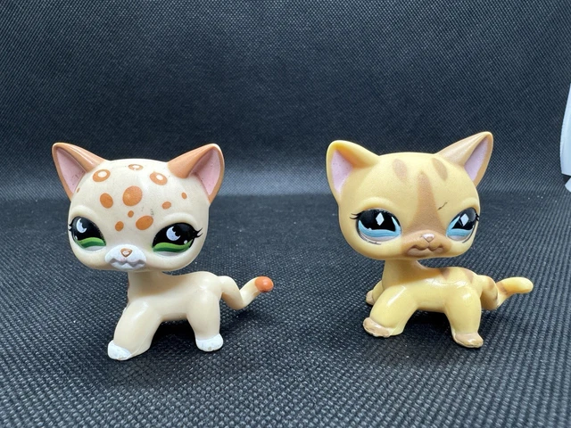 Littlest Pet Shop LPS #3573 – Chat Européen Original Hasbro – Authentique