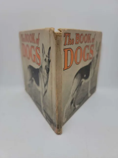 The Book of Dogs by James Lawson 1935 Vintage Hardcover 3
