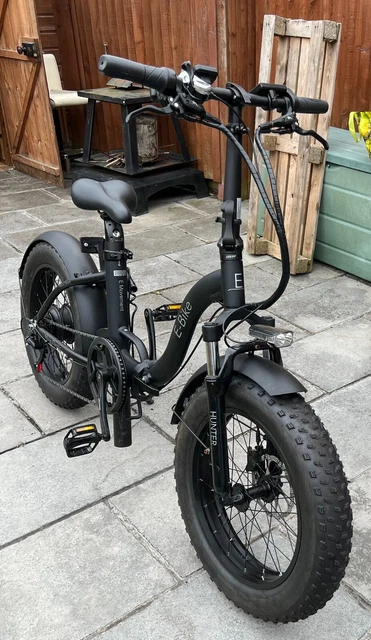 fat tyre folding electric bike