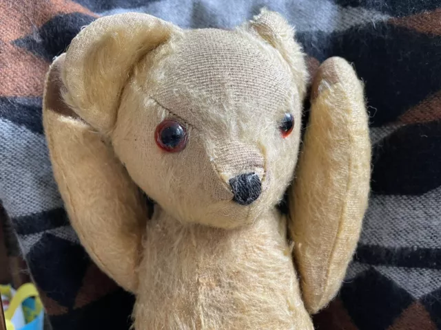 🧸Vintage 1950s Medium Pedigree Teddy Bear / Excellent Condition