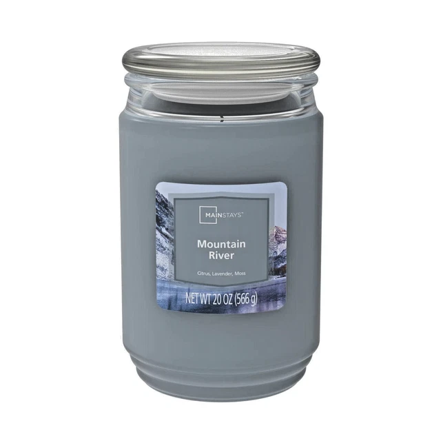 NEW Mainstays Scented Large Candle Jar Single Wick 1 Essences 20oz