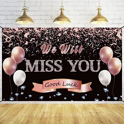 Retirement Farewell Party Decorations,Rose Gold We Will Miss You Sig...