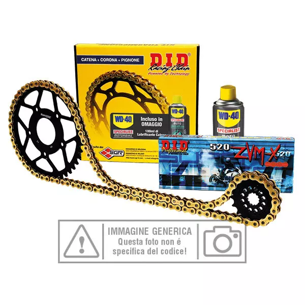 Sgr Cod.101290 Kit Trasmissione Did Rapporto Originale Per Bmw F800Gs