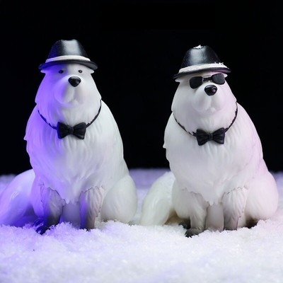 NEW ANIME SPY x FAMILY Figure dog Bond Forger Anya Forger kawaii PVC