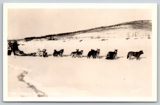 Famous Alaska Dog Sled Team~RPPC~Real Photo Postcard