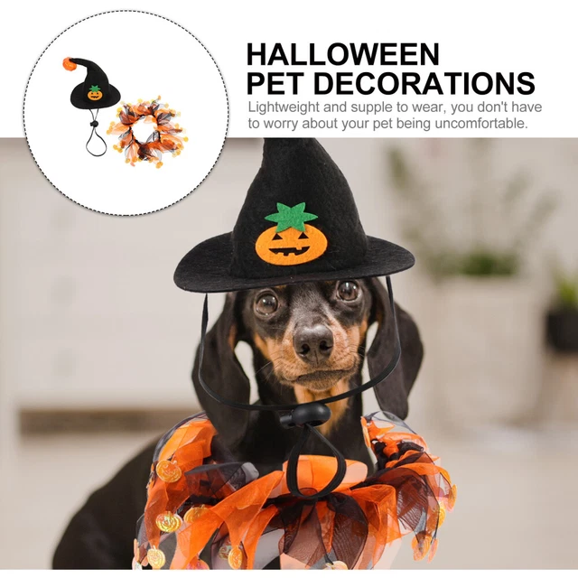1 Set Halloween Haustierkostüm Lustige Katzenhut Katzenhund Schal Dekorative 12