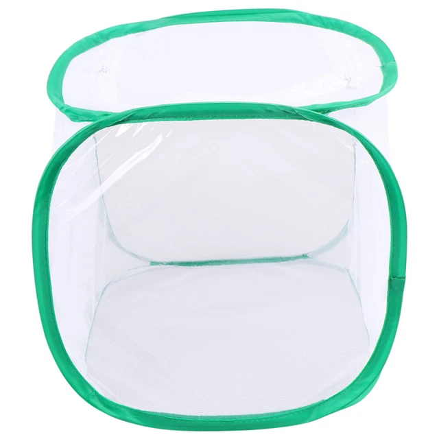 Herramienta educativa para niños Nature Explore accesorio translúcido