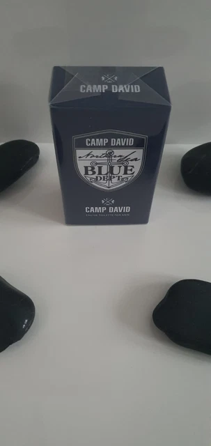 CAMP DAVID PARFM Neu Blue 100ml EdT EUR 47,95 - PicClick DE