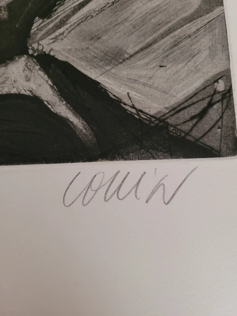 Lithographie signée et numérotée signature à identifier 7/100 11