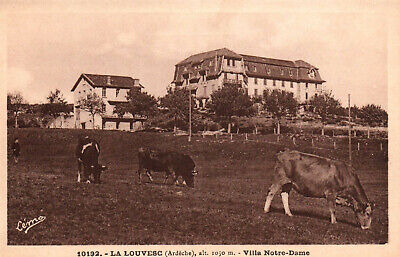 CPA 07 - LA LOUVESC (Ardèche) - 10192. Villa Notre-Dame (troupeau de Vaches)