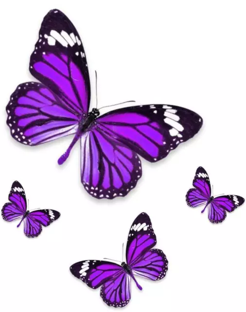 Set 4x autocollant sticker voiture moto papillon violet