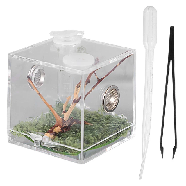 Scatola per scherzi per spaventare il ragno Scatola per spavare in legno fatta a mano con ragno in gomma pop-out Divertente scherzo a sorpresa Scherzo Giocattolo per bambini Regalo di Halloween