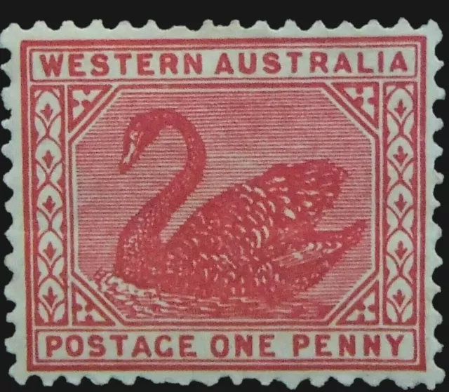 ACSC W13D ~ 1909 Western Australia One Penny Carmine 1d Swan Stamp Mint - L32