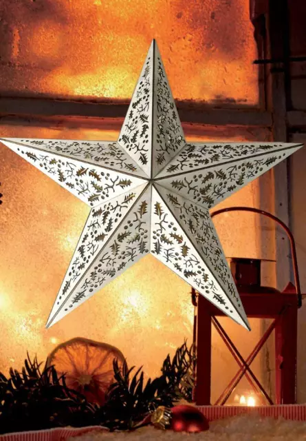 LED Holzstern Mistelzweig-Optik 10 LEDs warm-weiß 40cm Ornament Weihnachten Deko