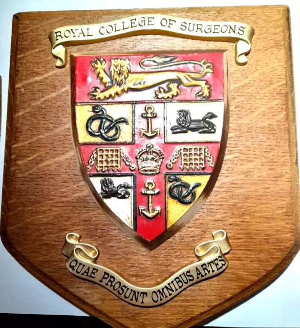 Beautifully Hand Restored Royal College Of Surgeons Plaque or Shield