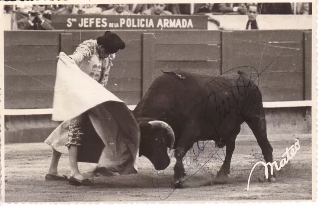 Spagna Sevilla Siviglia Corrida Torero Curro Puya Foto Vintage Autografo