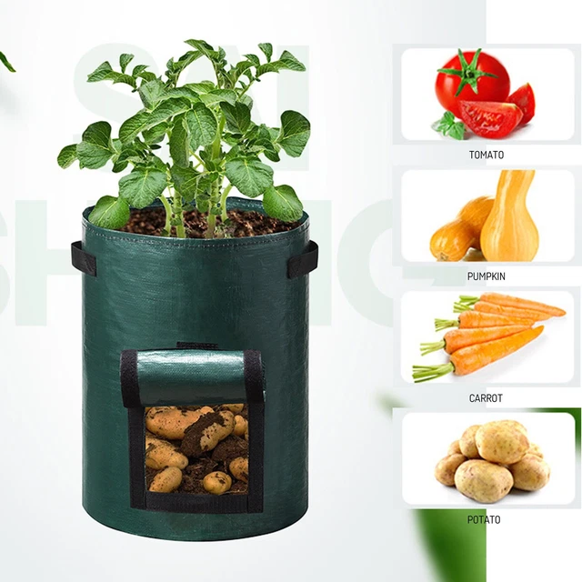 Potato Bag And Vegetable Bucket Strawberry Bag PE Strawberry Bag Color Bag Hot